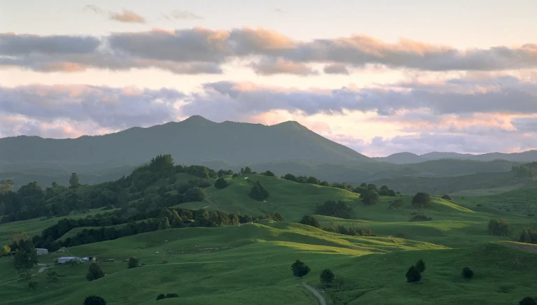 new zealand hills